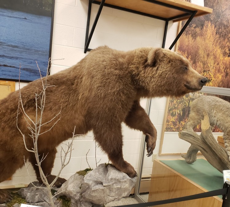 Werner Wildlife Museum at Casper College (Casper,&nbspWY)
